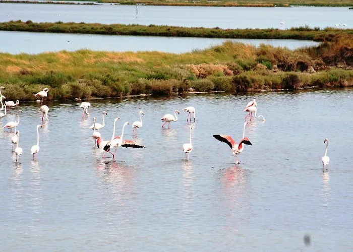 Serena Appartement Rosolina Mare